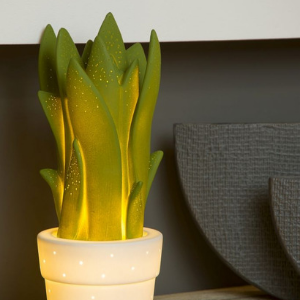 Lucide_Sansevieria