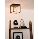 Lucide 00124/01/30 prisadené stropné svietidlo Ruben 1x40W | E27