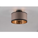Trio TR61552041 prisadené stropné svietidlo Davos E14