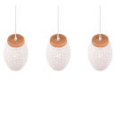 Trio TR31573031 závesné stropné svietidlo Bidar E27