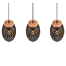 Trio TR31573080 závesné stropné svietidlo Bidar E27