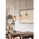 Trio TR31573065 závesné stropné svietidlo Bidar E27