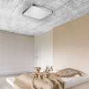 Zuma Line 003064-009110 LED prisadené stropné svietidlo SIERRA integrovaný LED zdroj