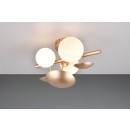 Trio SELECT  T217400379 nástenné svietidlo BUBBLE   G9