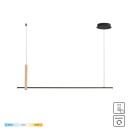 Zuma Line 003064-026643 LED závesné stropné svietidlo CLAUD integrovaný LED zdroj