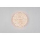 Trio 234510101 LED nástenné svietidlo ROBIN | 4W integrovaný LED zdroj | 370lm | 3000K