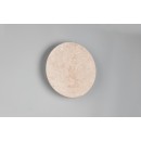 Trio 234510101 LED nástenné svietidlo ROBIN | 4W integrovaný LED zdroj | 370lm | 3000K