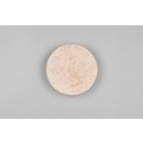 Trio 234510101 LED nástenné svietidlo ROBIN | 4W integrovaný LED zdroj | 370lm | 3000K