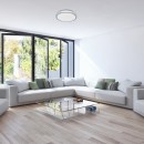 Rabalux 2420 LED stropné svietidlo Cressida 1x24W | 1720lm | 4000K- hviezdny efekt, biela