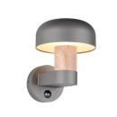 Trio T262569135 vonkajšie nástenné svietidlo FRASER  E27