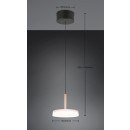 Trio T354910165 LED závesné stropné svietidlo CELESTE  | 10W integrovaný LED zdroj | 1100lm | 3000K