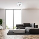 Rabalux 5364 LED stropnica Ophelia 1x24W | 2000lm | 3000-6500K | RGB - stmievateľné, diaľkové ovládanie, časovač, nočné osvetlenie,Wi-Fi, hviezdny efekt, chróm, biela