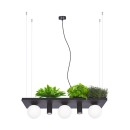 Zuma Line 003749-025970 závesné stropné svietidlo SHELF E14