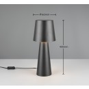 Trio T562900132 stolná lampička NUBIAN  E27