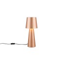 Trio T562900165 stolná lampička NUBIAN  E27