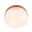 Trio 611500301 prisadený luster Seasons 3x40W | E27