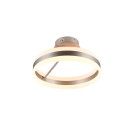 Trio 631410107 LED prisadené stropné svietidlo DIOS | 21W integrovaný LED zdroj | 2400lm | 2300+3000+4000K | stmievač