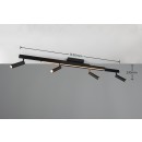 Trio T648310532 LED prisadené stropné svietidlo ZENO  | 12+4x5,5W integrovaný LED zdroj | 4x650lm | 2700-6500K