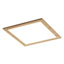 Rabalux 6907 LED stropné svietidlo Almond 1x12W | 1260lm | 4000K- biela, imitácia dreva
