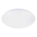 Rabalux 98071132 LED prisadené stropné svietidlo Lucas  | 12W integrovaný LED zdroj | 830lm | 4000K