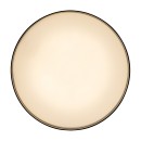 Rabalux 98071320 LED prisadené stropné svietidlo Ovidia  | 24W integrovaný LED zdroj | 1110lm | 3000K