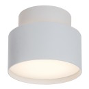 Rabalux 98071324 LED prisadené stropné svietidlo Ovidia  | 16W integrovaný LED zdroj | 920lm | 3000K