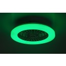 Rabalux 98071333 LED ventilátor s osvetlením Dalfon2  | 48W integrovaný LED zdroj | 3500lm | 3000-6500K