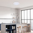 Rabalux 98071429 LED vonkajšie stropné svietidlo Alenzo  | 36W integrovaný LED zdroj | 2450lm | 3000+4000+6500K