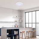 Rabalux 98071430 LED vonkajšie stropné svietidlo Alenzo  | 36W integrovaný LED zdroj | 2450lm | 3000-6000K