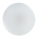Rabalux 71442 LED prisadené stropné svietidlo Danny2 | 34W integrovaný LED zdroj | 2800lm | 3000-6500K | diaľkové ovládanie | stmievač | biela