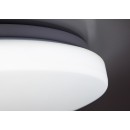 Rabalux 71442 LED prisadené stropné svietidlo Danny2 | 34W integrovaný LED zdroj | 2800lm | 3000-6500K | diaľkové ovládanie | stmievač | biela