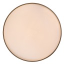 Rabalux 71453 LED prisadené stropné svietidlo Zerava | 60W integrovaný LED zdroj | 4100lm | 3000-6500K | diaľkové ovládanie | stmievač | zlatá