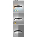 Rabalux 98072002 LED závesné stropné svietidlo Ceilo  | 38W integrovaný LED zdroj | 3150lm | 3000-6500K