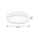 Rabalux 75072 LED vonkajšie stropné svietidlo ShaunPlus | 24W integrovaný LED zdroj | 2600lm | 4000K | biela
