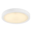 Rabalux 75073 LED vonkajšie stropné svietidlo ShaunPlus | 30W integrovaný LED zdroj | 3000lm | 4000K | biela