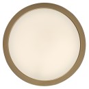Rabalux 75079 LED vonkajšie stropné svietidlo ShaunPlus | 30W integrovaný LED zdroj | 3000lm | 4000K | zlatá