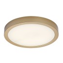 Rabalux 75079 LED vonkajšie stropné svietidlo ShaunPlus | 30W integrovaný LED zdroj | 3000lm | 4000K | zlatá