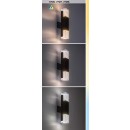 Rabalux 98077127 LED vonkajšie nástenné svietidlo Darvas | 12W integrovaný LED zdroj | 830lm | 2700+4000K