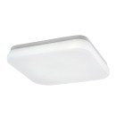 Rabalux 98077138 LED vonkajšie stropné svietidlo Lowar  | 18W integrovaný LED zdroj | 1150lm | 4000K
