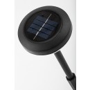 Rabalux 98077177 LED solárne vonkajšie zapichovacie svietidlo Monor  | 0,1W integrovaný LED zdroj | 3lm | 3000K