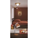 detské prisadené stropné svietidlo Philips meria 1x15W E27 - mix farieb