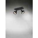 Trio 800700232 prisadené stropné bodové svietidlo Leon 2x35W | GU10 | IP20 - čierna