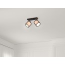 Trio 811400232 prisadený luster Burton 2x28W | E14