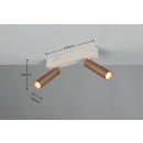 Trio T849210265 LED bodové stropné svietidlo AMBALA  | 5W integrovaný LED zdroj | 2x500lm | 2300+3000+4000K | hnedá