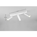 Trio T849210331 LED bodové stropné svietidlo AMBALA  integrovaný LED zdroj | 3x500lm | 2300+3000+4000K