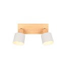 Trio T862700276 bodové stropné svietidlo SHANTI  E14