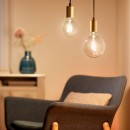 Wiz Tunable white 8718699786793 inteligentná LED dizajnová žiarovka E27 | 1x6,7W | 640lm | 2000-5000K - tvar globe