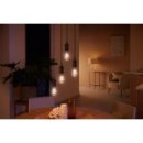 Philips Hue 8719514301467 LED filamentová žiarovka ST64 1x7W | E27 | 550lm | 2200-4500K - stmievateľná, Bluetooth, White Ambiance