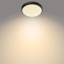 Philips 8719514326606 LED stropné svietidlo Doris 1x17W | 1500lm | 2700K | IP44 - čierna