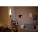 Philips Hue 8719514343429 LED nástenné svietidlo Liane 1x20W | 900lm | 2000-6500K | RGB - stmievateľné, Bluetooth, White and color ambiance, čierna